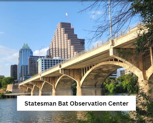 Statesman Bat Observation Center